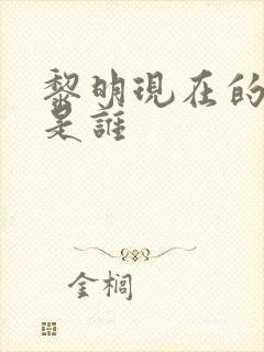 黎明现在的老婆是谁