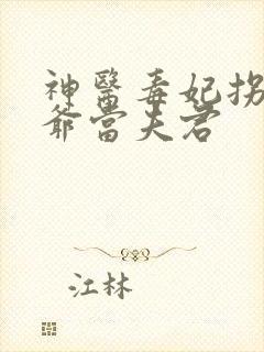 神医毒妃拐个王爷当夫君