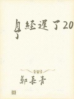 月经迟了20天了