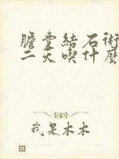 胆囊结石术后第二天吃什么