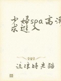 少妇spa高潮求进入