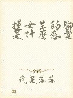 摸女生的胸到底是什么感觉