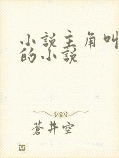 小说主角叫苏念的小说