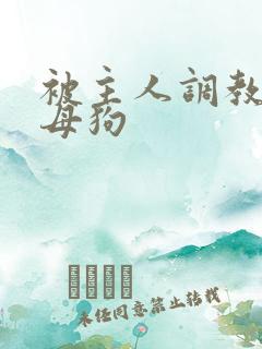 被主人调教成小母狗