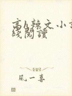 高h辣文小说在线阅读