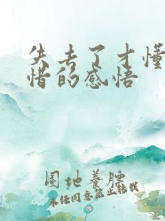 失去了才懂得珍惜的感悟