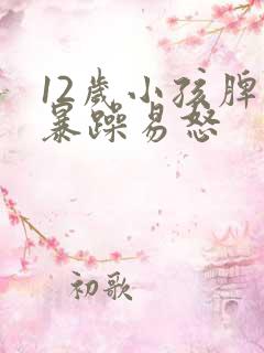 12岁小孩脾气暴躁易怒