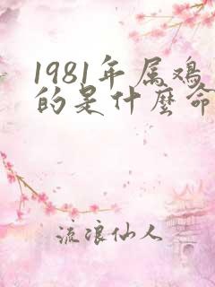 1981年属鸡的是什么命运