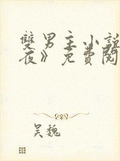 双男主小说《爱夜》免费阅读