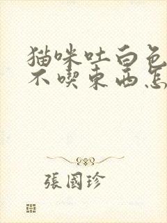 猫咪吐白色泡沫不吃东西怎么办