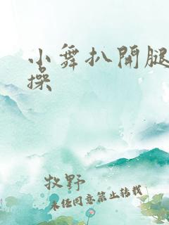 小舞扒开腿让我操