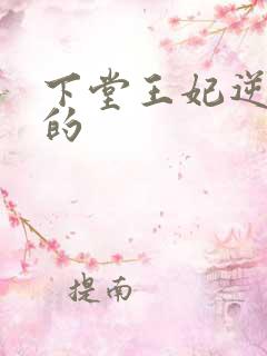 下堂王妃逆袭记的