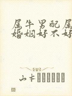 属牛男配属牛女婚姻好不好