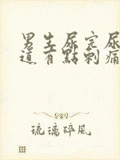 男生尿完尿后尿道有点刺痛还想尿