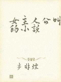 女主人公叫苏念的小说