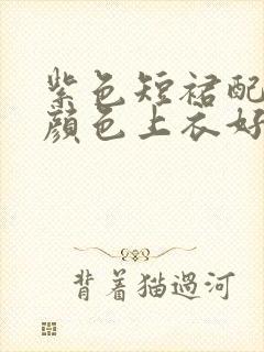 紫色短裙配什么颜色上衣好看