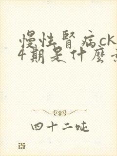 慢性肾病ckd4期是什么意思