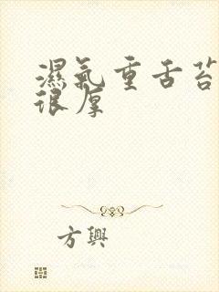 湿气重舌苔发白很厚