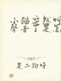 小猫突然叫不出声音了是怎么回事