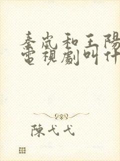 秦岚和王阳演的电视剧叫什么