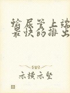 输尿管上端结石最快的排出方法