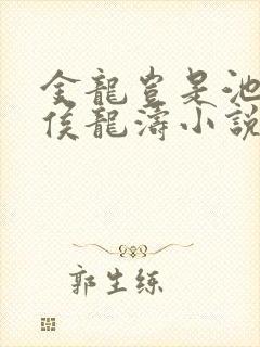 金龙岂是池中物侯龙涛小说