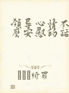 领导心情不好怎么安慰的话