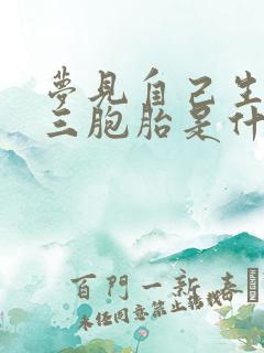 梦见自己生了个三胞胎是什么预兆