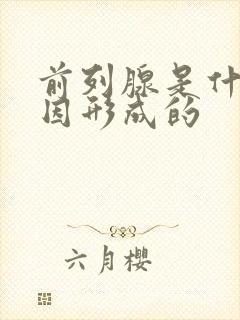 前列腺是什么病因形成的