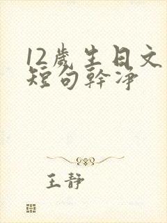 12岁生日文案短句干净