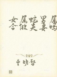 女属蛇男属狗适合做夫妻吗