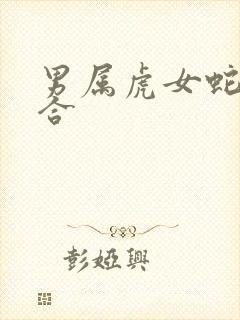 男属虎女蛇合不合