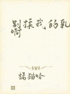 别揉我的乳头嗯啊