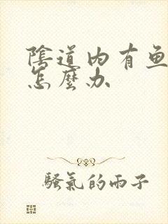 阴道内有鱼腥味怎么办