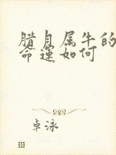 腊月属牛的人的命运如何