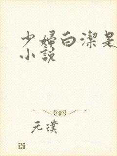 少妇白洁是哪部小说