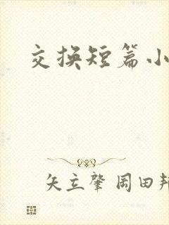 交换短篇小说