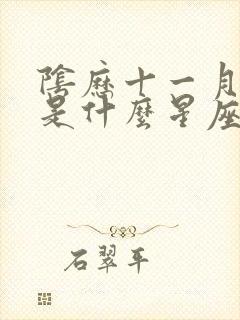 阴历十一月二十是什么星座?