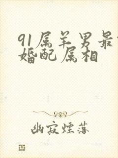 91属羊男最佳婚配属相