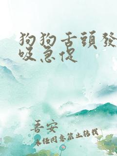 狗狗舌头发白呼吸急促