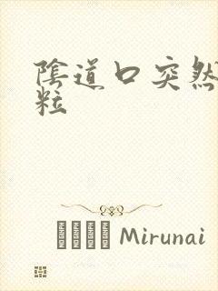 阴道口突然起肉粒