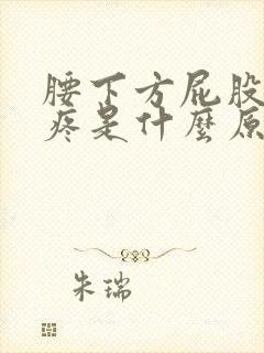 腰下方屁股上方疼是什么原因