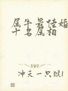 属牛最佳婚配前十名属相