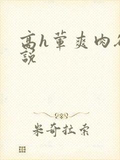 高h荤爽肉欲小说