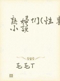 熟妇们(性事)小说