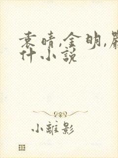 袁晴,金明,严什小说