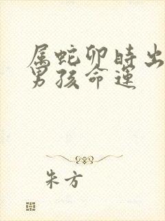 属蛇卯时出生的男孩命运