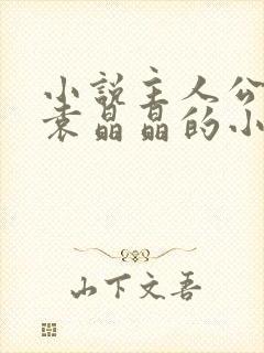 小说主人公李睿袁晶晶的小说名称是