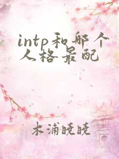 intp和哪个人格最配