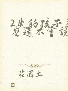 2岁的孩子为什么还不会说话